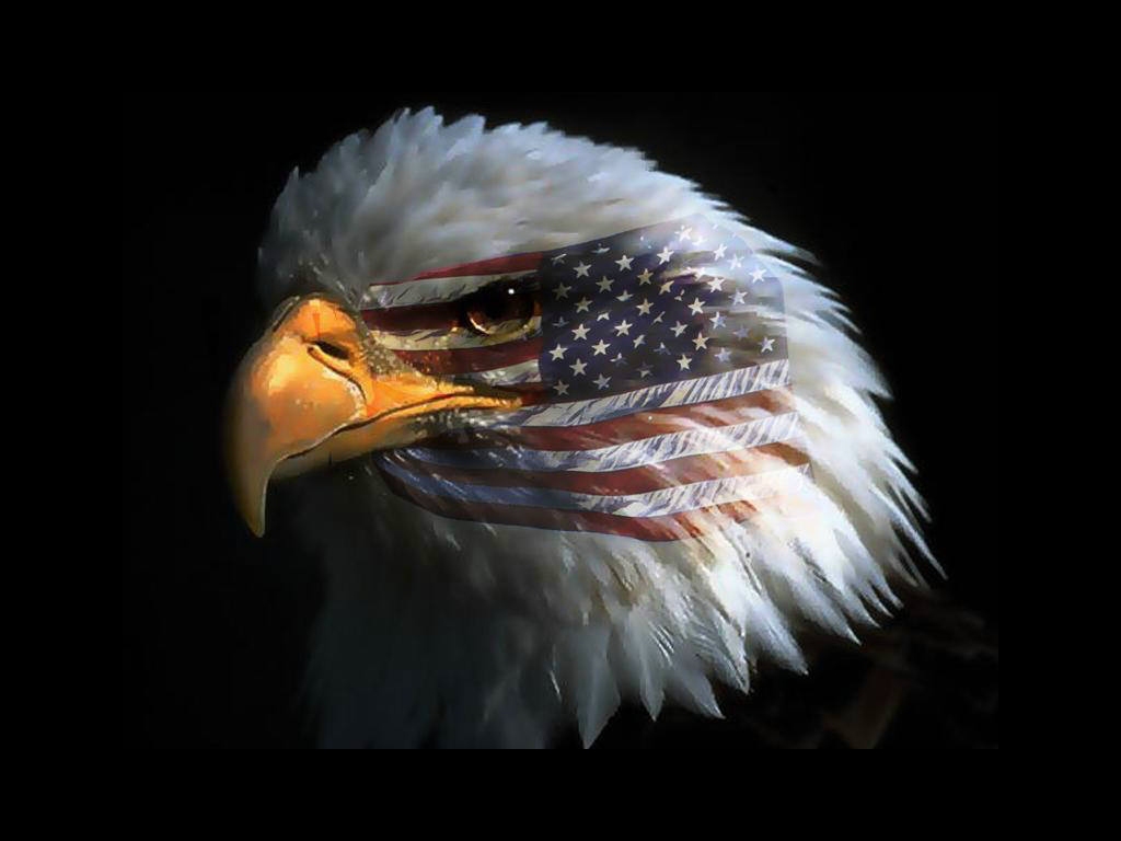 American_Eagle__Flag.jpg