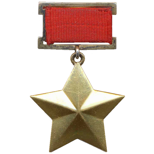 Have a Gold Star!.png