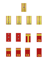 soviet ranks.jpg