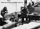 Indonesian Waffen-SS reenactors